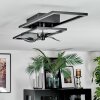Hyacinthe Plafoniera, Lampada con ventilatore LED Cromo, Nero, 1-Luce, Telecomando