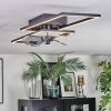 Hyacinthe Plafoniera, Lampada con ventilatore LED Cromo, Nero, 1-Luce, Telecomando
