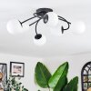 Chehalis Plafoniera, Lampada a sfera Bianco, 6-Luci