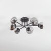 Chehalis Plafoniera, Lampada a sfera 18 cm Chiaro, Grigio fumo, 6-Luci