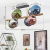 Gastor Plafoniera, Lampada a sfera Oro, Nero, 8-Luci