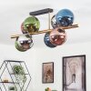Gastor Plafoniera, Lampada a sfera Oro, Nero, 8-Luci