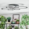 Ronak Plafoniera LED Nero, 1-Luce, Telecomando