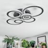 Ronak Plafoniera LED Nero, 1-Luce, Telecomando