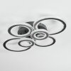 Ronak Plafoniera LED Nero, 1-Luce, Telecomando