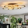 Ronak Plafoniera LED Nero, 1-Luce, Telecomando