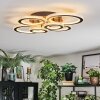 Ronak Plafoniera LED Nero, 1-Luce, Telecomando
