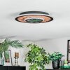Meron Plafoniera LED Aspetto del legno, Nero, 1-Luce