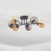 Chehalis Plafoniera, Lampada a sfera Ambrato, Grigio fumo, 6-Luci Chehalis Plafoniera, Lampada a sfera Ambrato, Grigio fumo, 6-Luci