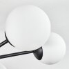 Chehalis Plafoniera, Lampada a sfera Bianco, 6-Luci