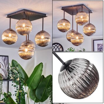 Chehalis Plafoniera, Lampada a sfera Grigio fumo, 5-Luci