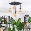 Chehalis Plafoniera, Lampada a sfera Ambrato, 5-Luci