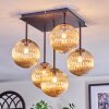 Chehalis Plafoniera, Lampada a sfera Ambrato, 5-Luci