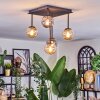 Chehalis Plafoniera, Lampada a sfera Ambrato, Grigio fumo, 5-Luci
