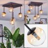 Chehalis Plafoniera, Lampada a sfera Ambrato, Chiaro, 5-Luci