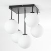 Chehalis Plafoniera, Lampada a sfera Bianco, 5-Luci