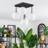 Chehalis Plafoniera, Lampada a sfera Bianco, 5-Luci