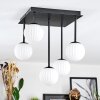 Chehalis Plafoniera, Lampada a sfera Bianco, 5-Luci