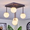 Chehalis Plafoniera, Lampada a sfera Bianco, 5-Luci