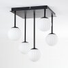 Chehalis Plafoniera, Lampada a sfera Bianco, 5-Luci