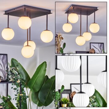 Chehalis Plafoniera, Lampada a sfera Bianco, 5-Luci Chehalis Plafoniera, Lampada a sfera Bianco, 5-Luci