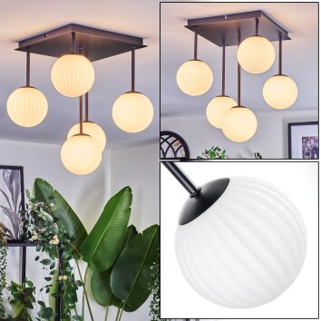 Chehalis Plafoniera, Lampada a sfera Bianco, 5-Luci Chehalis Plafoniera, Lampada a sfera Bianco, 5-Luci