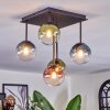 Chehalis Plafoniera, Lampada a sfera Blu, Verde, Chiaro, Ramato, 5-Luci