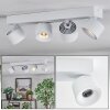 Narel Plafoniera, Faretto da soffitto LED Bianco, 4-Luci
