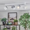 Narel Plafoniera, Faretto da soffitto LED Bianco, 4-Luci