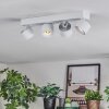 Narel Plafoniera, Faretto da soffitto LED Bianco, 4-Luci