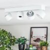 Narel Plafoniera, Faretto da soffitto LED Bianco, 4-Luci