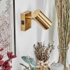 Javel Applique, Faretto da parete Oro, 1-Luce