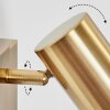 Javel Applique, Faretto da parete Oro, 1-Luce