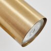 Javel Applique, Faretto da parete Oro, 1-Luce