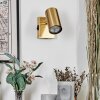 Javel Applique, Faretto da parete Oro, 1-Luce