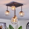 Chehalis Plafoniera, Lampada a sfera Ambrato, Chiaro, 5-Luci