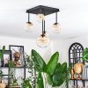 Chehalis Plafoniera, Lampada a sfera Ambrato, Chiaro, 5-Luci