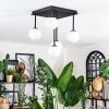 Chehalis Plafoniera, Lampada a sfera Bianco, 5-Luci