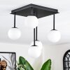 Chehalis Plafoniera, Lampada a sfera Bianco, 5-Luci