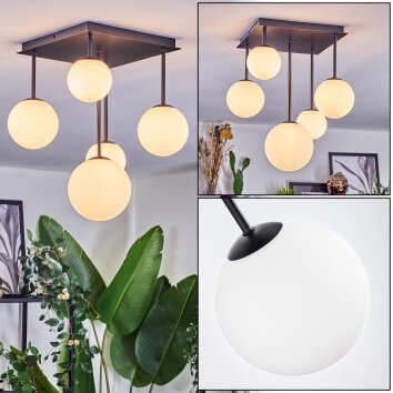 Chehalis Plafoniera, Lampada a sfera Bianco, 5-Luci Chehalis Plafoniera, Lampada a sfera Bianco, 5-Luci