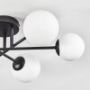 Chehalis Plafoniera, Lampada a sfera 55 cm Bianco, 6-Luci