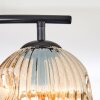 Gastor Plafoniera, Lampada a sfera Ambrato, 2-Luci