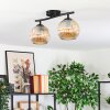 Gastor Plafoniera, Lampada a sfera Ambrato, 2-Luci