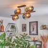 Koyoto Plafoniera, Lampada a sfera Oro, Nero, 8-Luci
