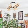 Koyoto Plafoniera, Lampada a sfera Oro, Nero, 8-Luci