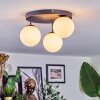 Chehalis Plafoniera, Lampada a sfera Bianco, 3-Luci