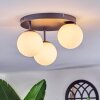 Chehalis Plafoniera, Lampada a sfera Bianco, 3-Luci