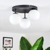 Chehalis Plafoniera, Lampada a sfera Bianco, 3-Luci