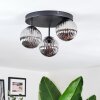 Chehalis Plafoniera, Lampada a sfera Grigio fumo, 3-Luci
