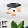 Chehalis Plafoniera, Lampada a sfera Ambrato, 3-Luci